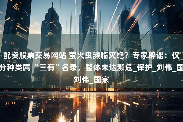 配资股票交易网站 萤火虫濒临灭绝？专家辟谣：仅部分种类属 “三有”名录，整体未达濒危_保护_刘伟_国家